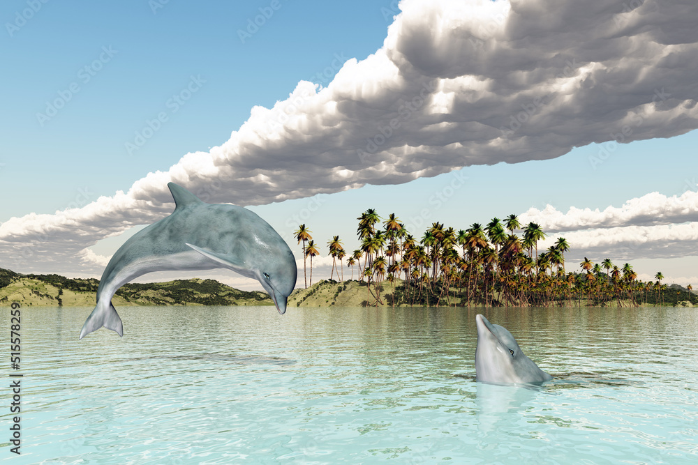 Fototapeta premium Zwei Delfine in einer Küstenlandschaft