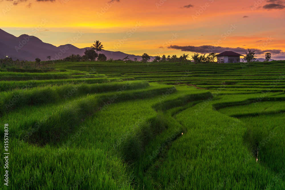 beautiful sunny morning panorama. Green rice terraces under the Indonesian mountain range