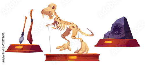 Paleontology museum objects dinosaur skeleton, stone age weapon and prehistoric mollusk print on rock. Historical archeological finds, Tyrannosaurus rex and primitive tools exhibits Cartoon vector set