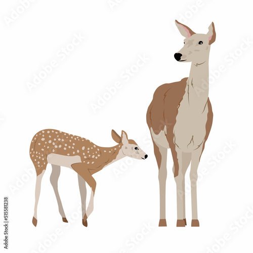 Noble deer and her cub. Realistic vector animal