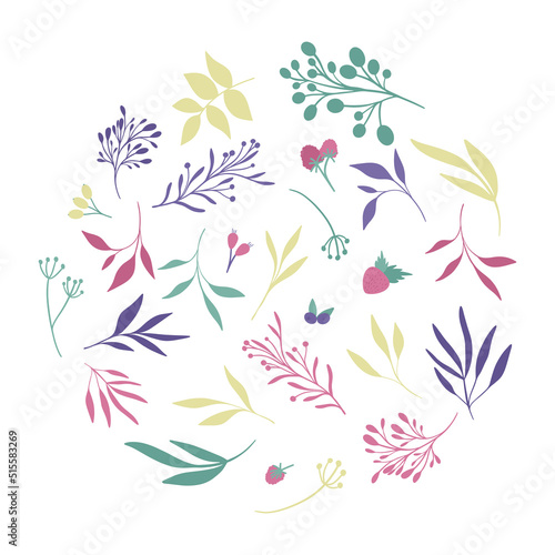 Forest leaves and berries circle. Hand drawn isoldated elements.