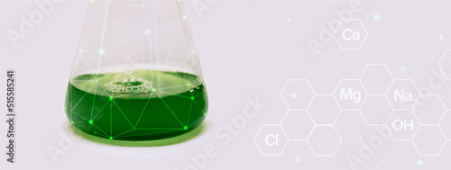 Algae research in laboratories, biotechnology science concept, marine plankton or microalgae culture into glassware flask photo