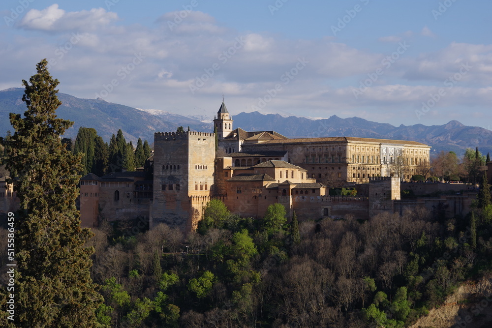 L'Alhambra se découpant devant la Sierra Nevada enneigée