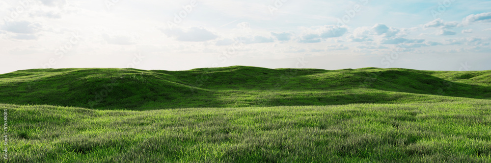 Landschaft mit grüner Wiese und Hügeln als Hintergrund