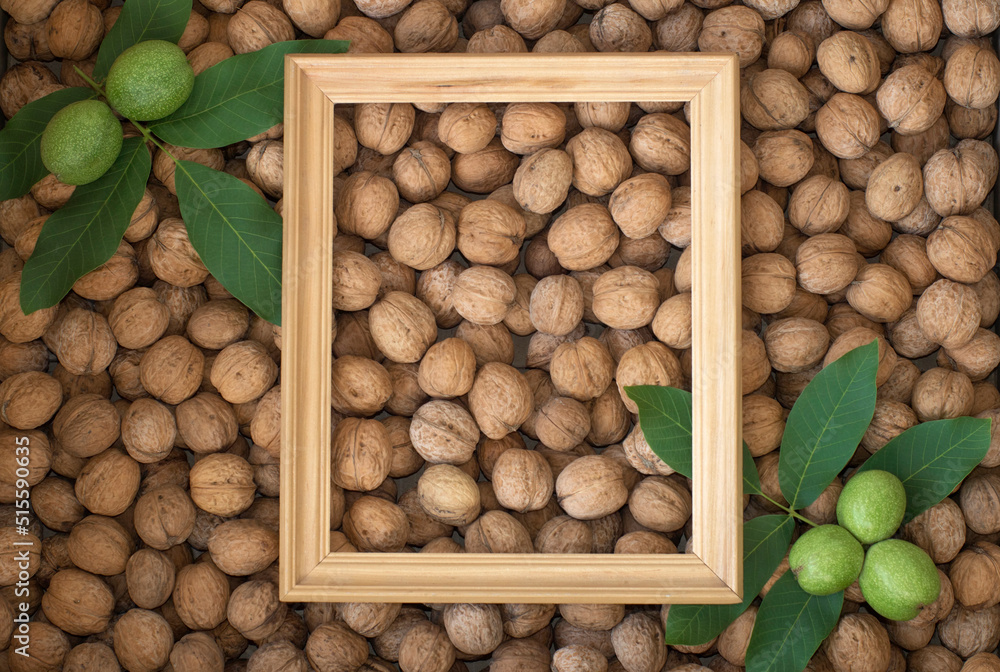green walnuts with leaves and an empty photo frame against the background of piled old nuts green walnuts with leaves and an empty photo frame against the background of piled old nuts