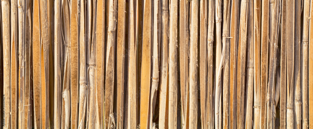 Straw background, dry grass natural texture. Bamboo or reed straw abstract banner. Traditional Asian style fence.  - obrazy, fototapety, plakaty 
