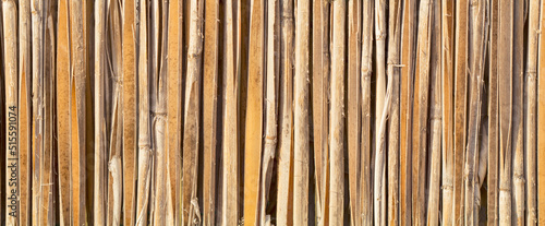 Straw background, dry grass natural texture. Bamboo or reed straw abstract banner. Traditional Asian style fence. 