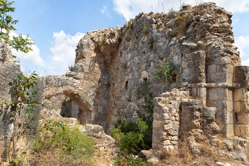 The ruins of the Monfort fortress are located on a high hill overgrown with forest, not far from Shlomi city, in the Galilee, in northern Israel The ruins of the Monfort fortress are located on a high hill overgrown with forest, not far from Shlomi city, in the Galilee, in northern Israel