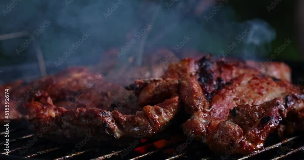 Meat grilled on barbecue grill. Dinner picnic party concept. Copy space. Meat grilled on barbecue grill. Dinner picnic party concept. Copy space.