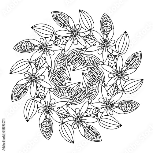 Cocoa beans mandala Coloring page . Fruits, flowers of the chocolate tree. Vector background. Hand drawing illustration .
