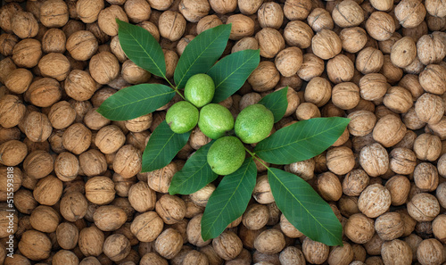 green walnuts with leaves against the background of piled dry nuts