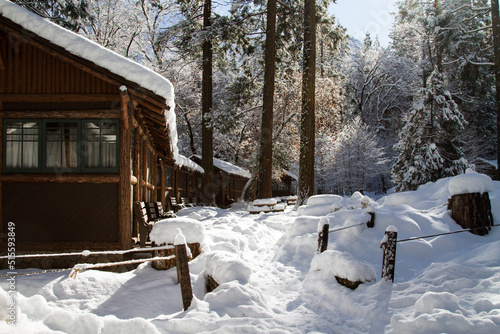 Wallpaper Mural yosemite winter Torontodigital.ca