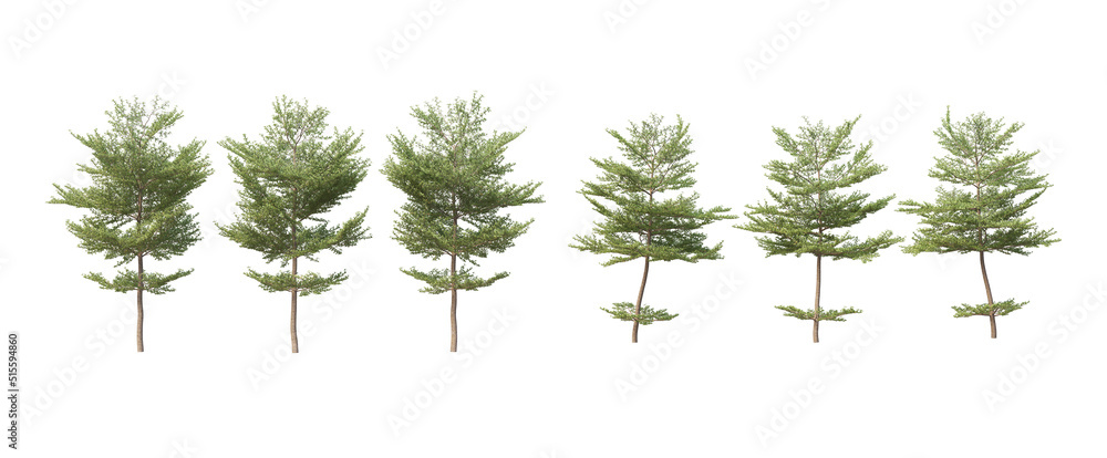 Many trees on a white background Many trees on a white background