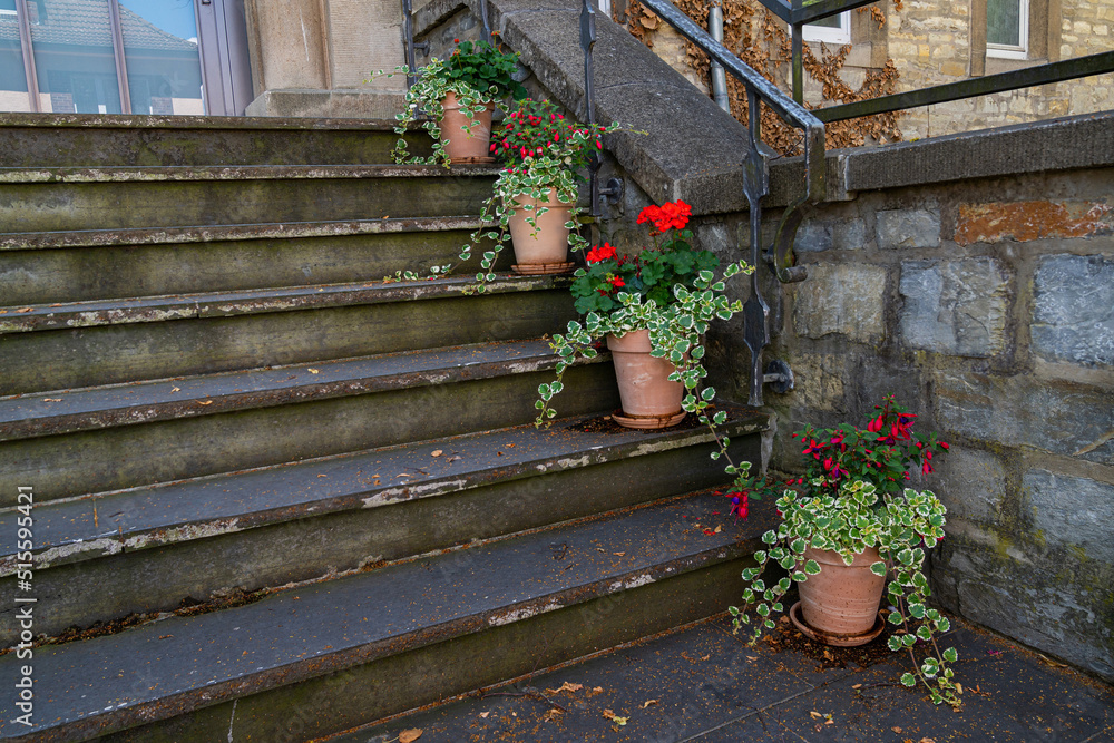Ceramic flower pots arranged on a stone staircase.