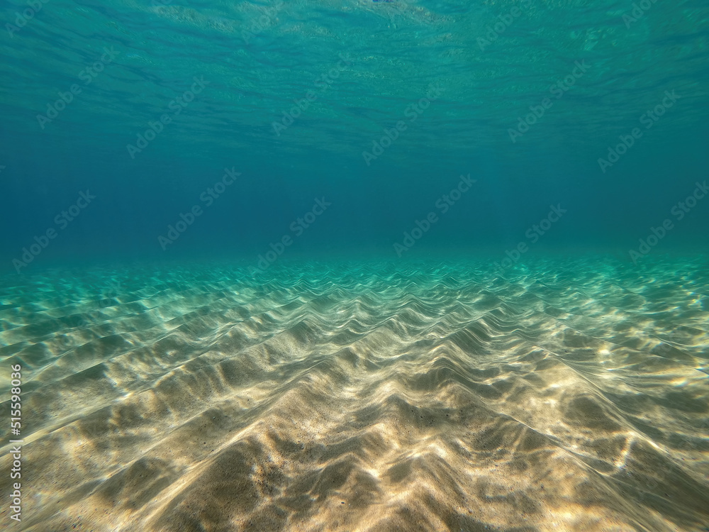Underwater scene from Spain. Mediterranean sea in Costa Brava, near the village Palamos