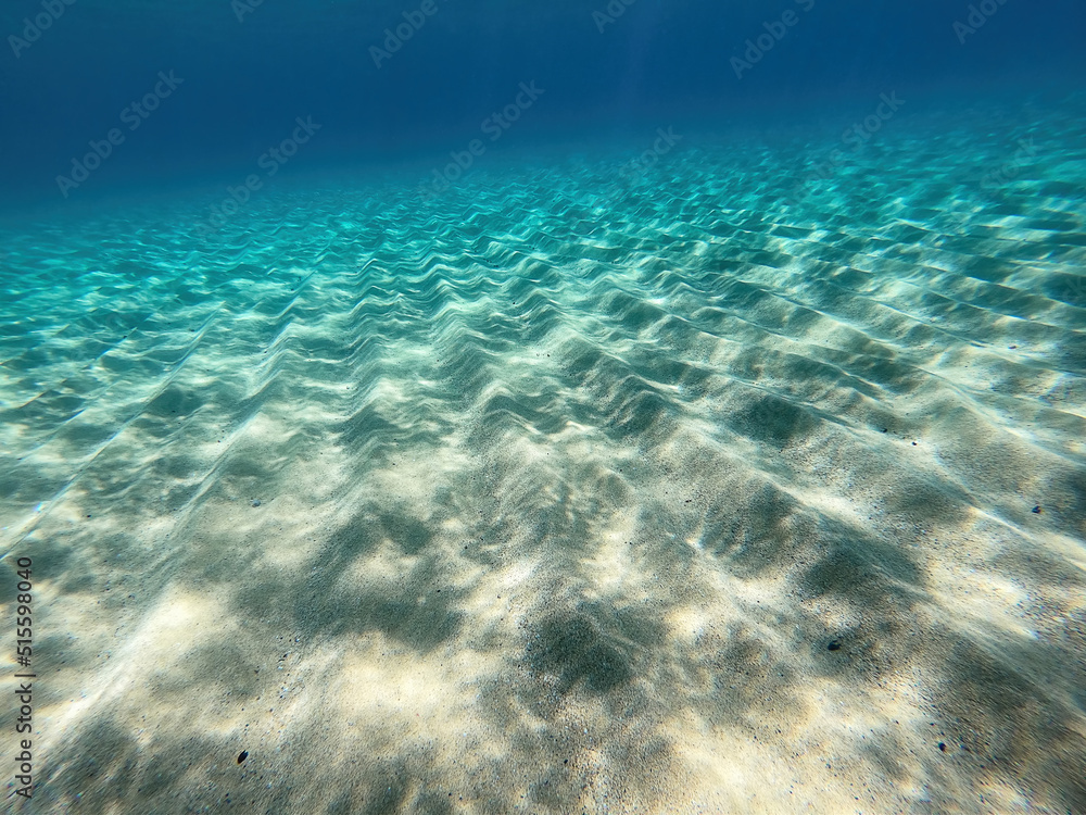 Underwater scene from Spain. Mediterranean sea in Costa Brava, near the village Palamos