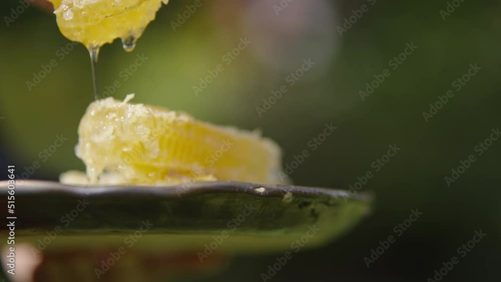 Close Up View of Golden Fresh Pure Bee Honey Flowing-Dripping from Natural Honeycomb on Spoon, Traditional Apiculture and Honey Production-Harvest in Farm, Blurred Background Close Up View of Golden Fresh Pure Bee Honey Flowing-Dripping from Natural Honeycomb on Spoon, Traditional Apiculture and Honey Production-Harvest in Farm, Blurred Background