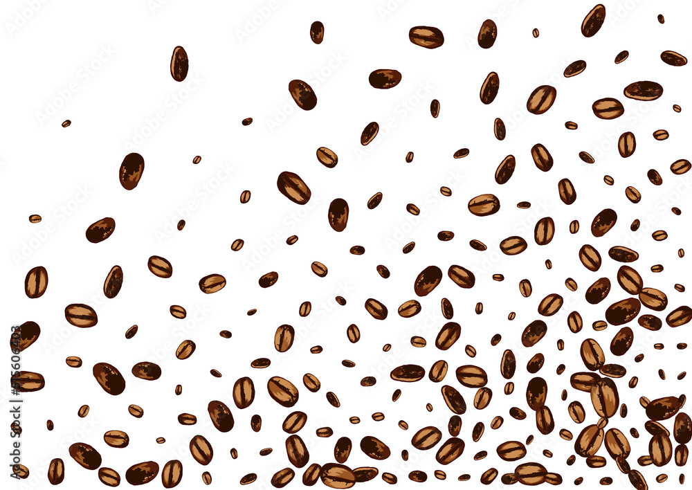 Dark Robusta Roasted Vector White Background. Dark Robusta Roasted Vector White Background.