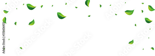 Photo Forest Leaf Realistic Vector Panoramic White