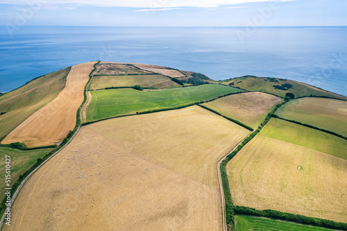 Farmlands and Fields over Man Sands from a drone, Brixham, Kingswear, Devon, England photo