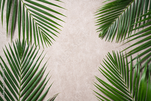 Tropical palm leaves isolated on dark gray background.