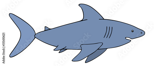Shark. Color vector illustration. Large predatory marine fish. An underwater monster with a toothy jaw. Isolated background. Cartoon style. Dangerous dweller of the deep. Idea for web design.