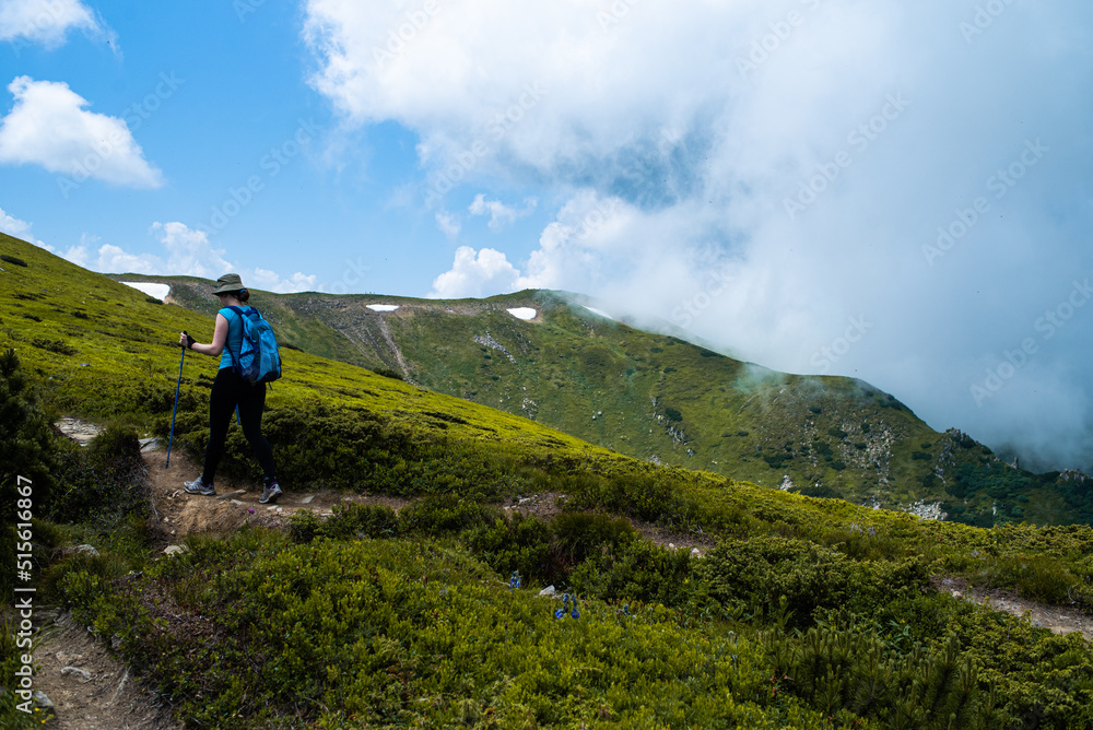 Mountain hiking. Beautiful mountain views. Coniferous forests and alpine meadows
