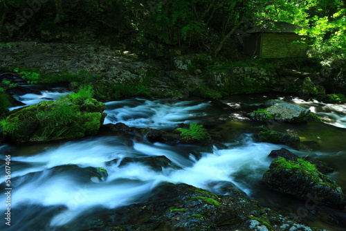 岩手県一関市 夏の小黒滝