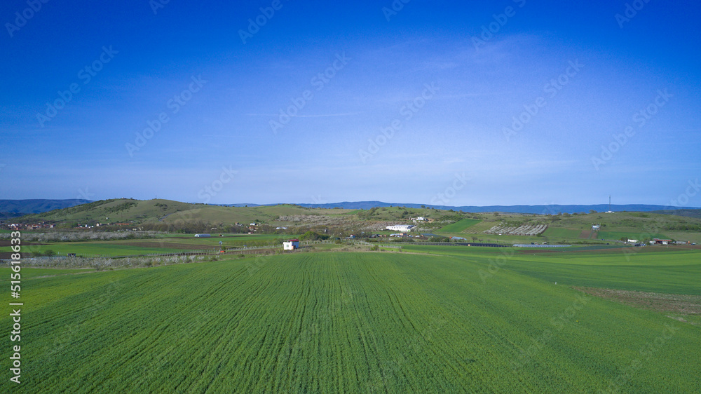 Green farm fields aerial view in early spring on a clear sunny day. Agriculture and landscape aerial photography