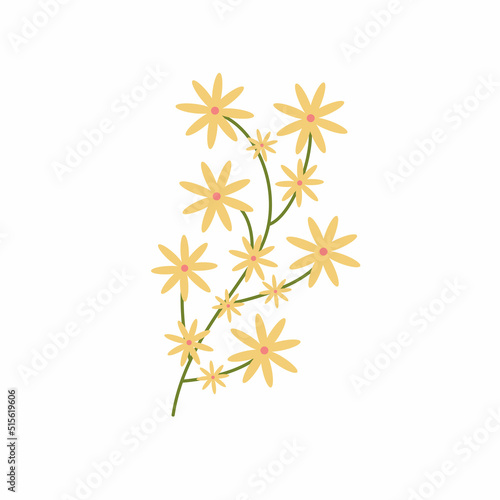 Delicate green twig with yellow flowers. Botanical elements. Meadow herbs, wildflowers. Floral Herb Design elements. Spring botanical vector illustration on white background