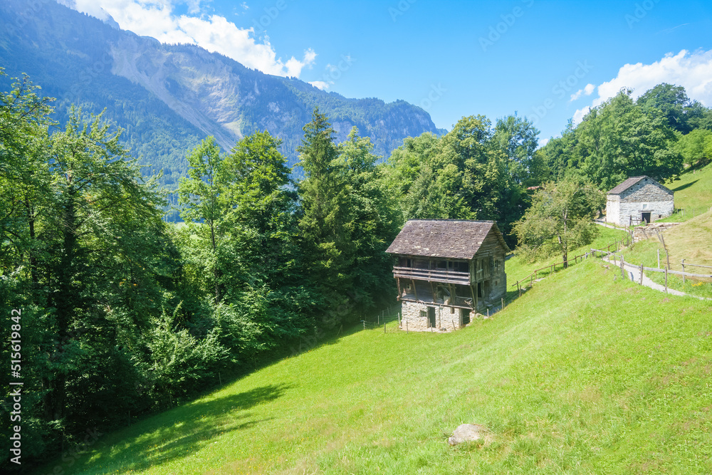 idyllic farmhouse in the swiss alps