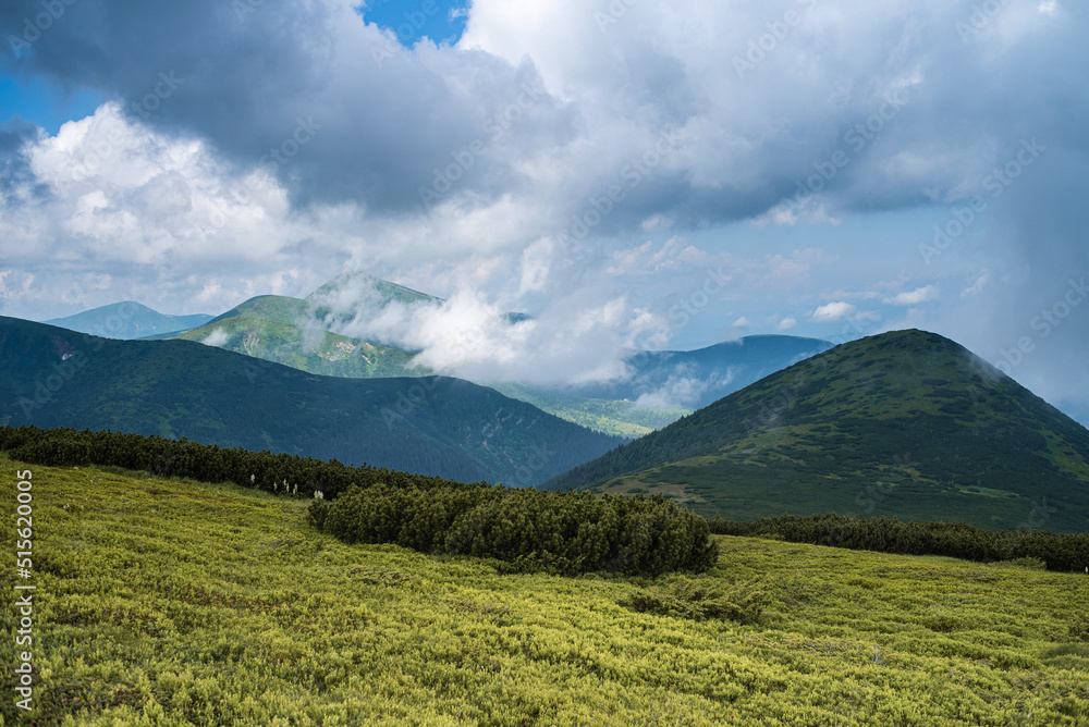Fototapeta premium Mountain hiking. Beautiful mountain views. Coniferous forests and alpine meadows