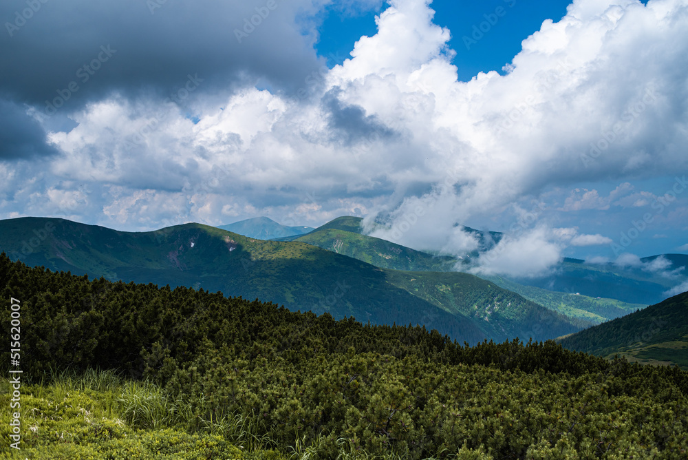 Mountain hiking. Beautiful mountain views. Coniferous forests and alpine meadows