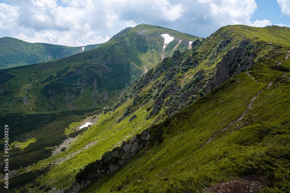 Fototapeta premium Mountain hiking. Beautiful mountain views. Coniferous forests and alpine meadows