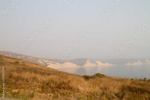 Photography Grass, coast and wildlife