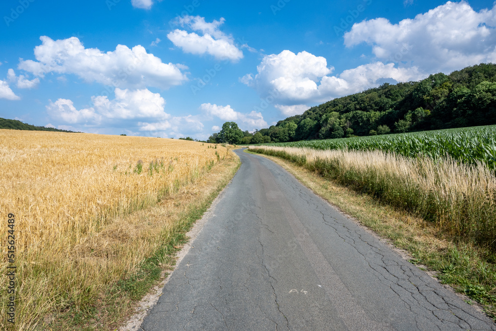 road in the countryside