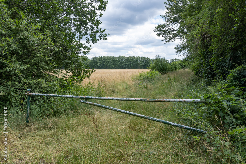 gate in the landscape