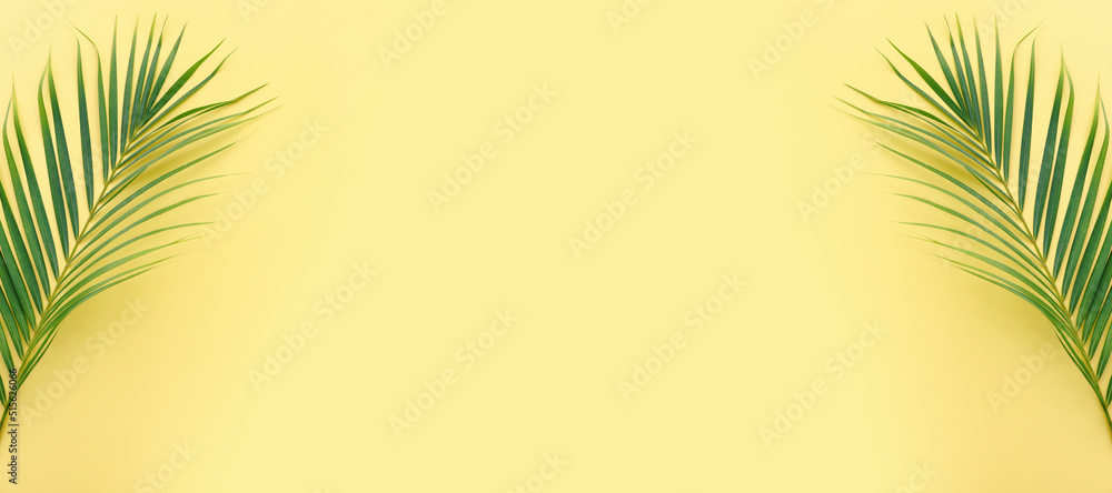 Fototapeta premium Image of tropical green palm over yellow pastel background