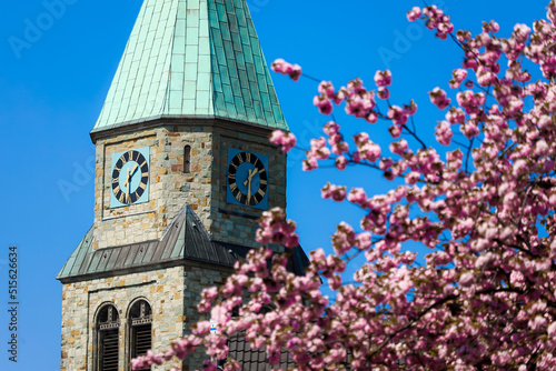 Kirchturm mit Kirschblüten photo