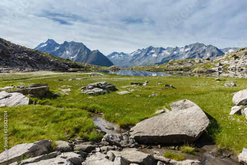 Bergsee mit Wollgras und Felsbrocken im Gras