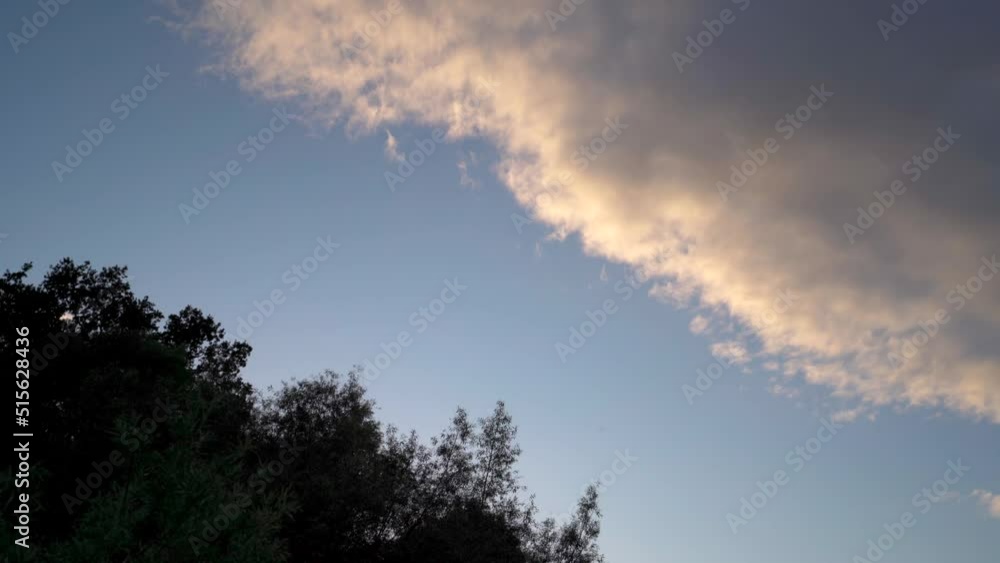 Dusk sky background with layers of tree and cloud Dusk sky background with layers of tree and cloud
