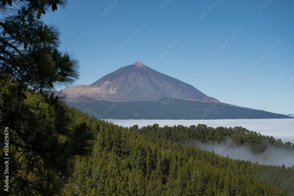 Teide volcano as seen from the viewpoint through the pines