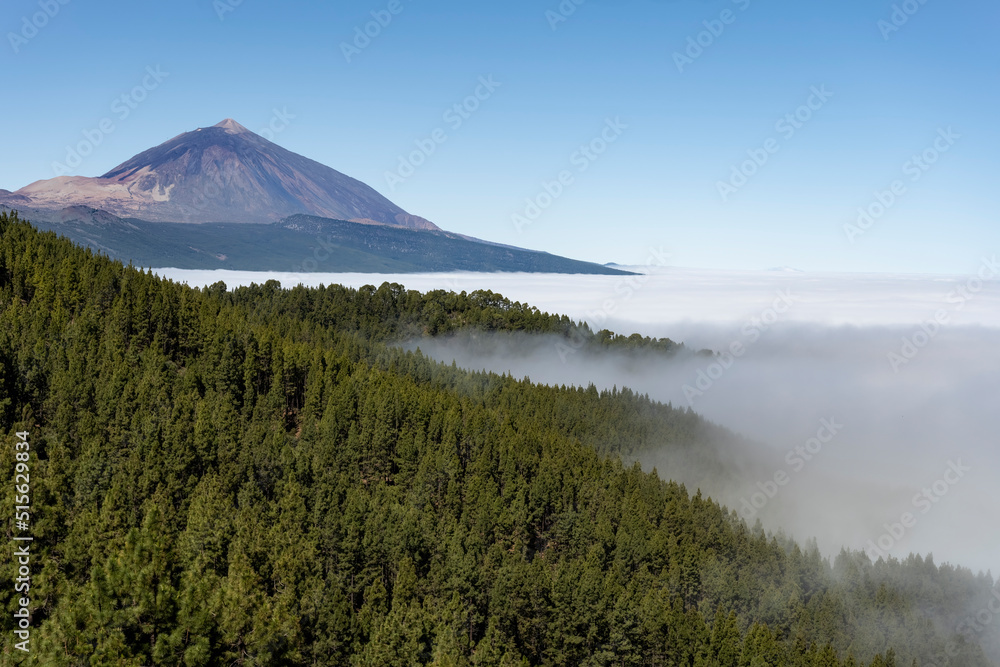 Teide volcano from the viewpoint through the pines Teide volcano from the viewpoint through the pines