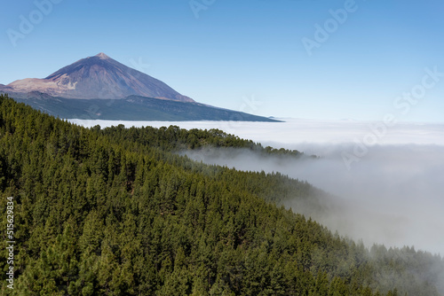 Teide volcano from the viewpoint through the pines