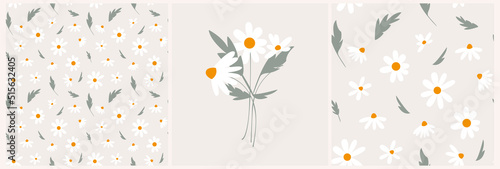 A set of elements from decorative flowers and chamomile leaves. Romantic vintage background for textile, fabric, decorative paper on a beige background.