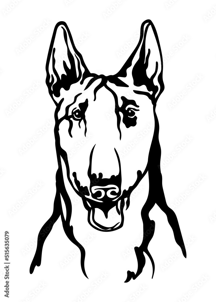 Bull Terrier dog vector black contour portrait