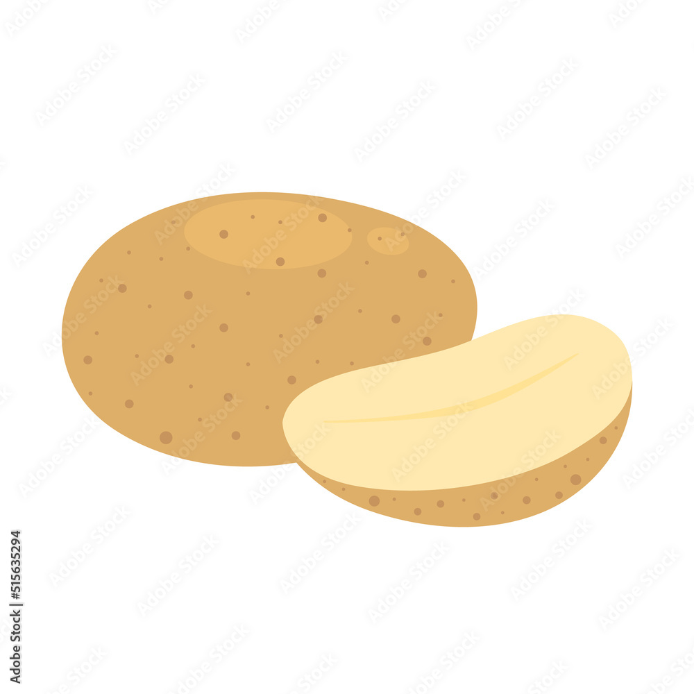 Potatoes isolated on white background. Whole root potato and half. Solanum tuberosum. Vector vegetables illustration in flat style. Potatoes isolated on white background. Whole root potato and half. Solanum tuberosum. Vector vegetables illustration in flat style.
