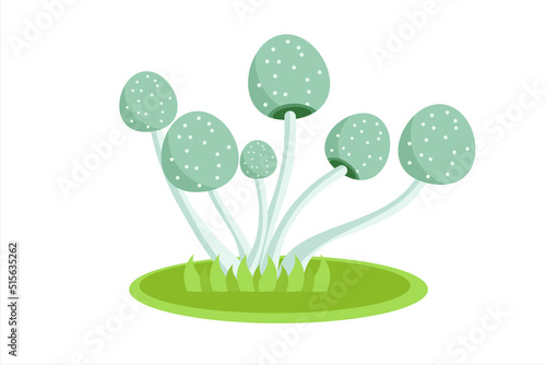 Set of mushrooms. Collection of different mushrooms. Mushrooms vector illustration