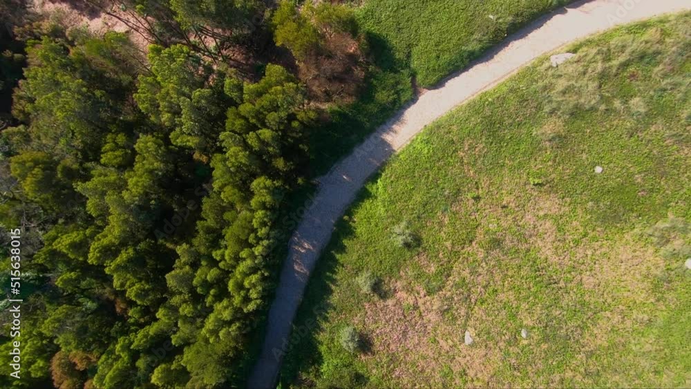 Aerial top view of the green forest with foliage in spring warm sunlight, peninha, sintra, Lisbon Aerial top view of the green forest with foliage in spring warm sunlight, peninha, sintra, Lisbon