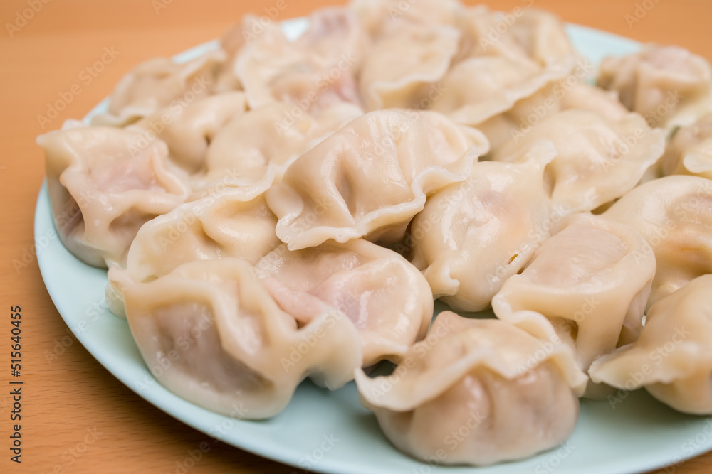 Homemade meat dumpling on plate